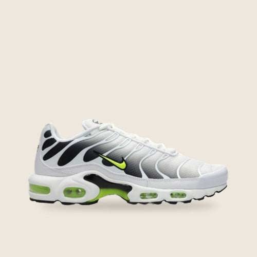 Nike Air Max Plus TN — Blanc et argent